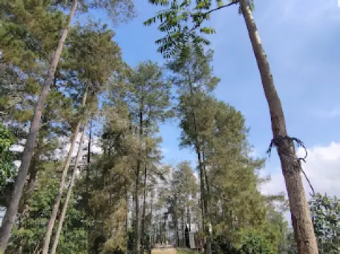 FOLKA Forest Land Sikabu-Kabu