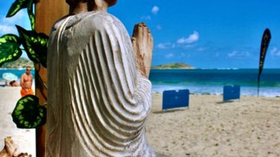 Humming-Bird Massage Sxm