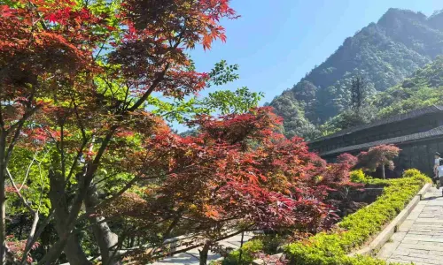 대명산 관광지