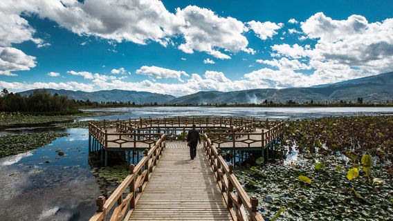 Cibi Lake Caohai Wetland Park, Eryuan County