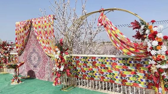 tuo ke xun xing hua lin