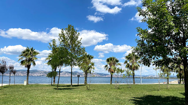 Sahil Çeşmesi - Başiskele