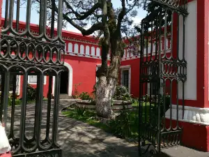 Museo La Magnolia