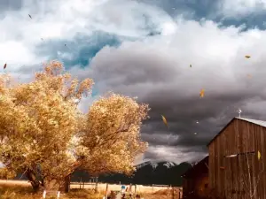 Meridian Farm and Forge