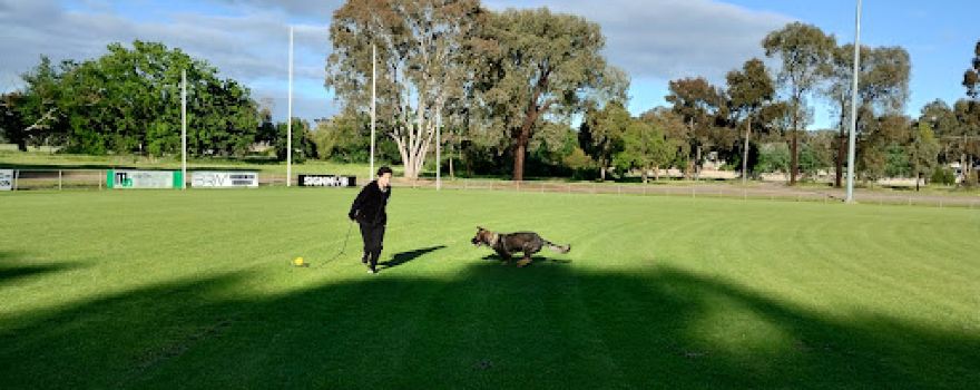 White Hills Oval