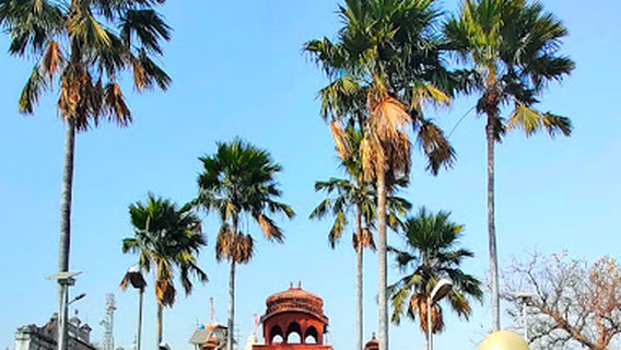 Property sell parches