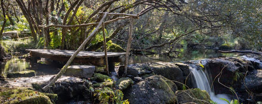 Área recreativa De Pedra Vixia