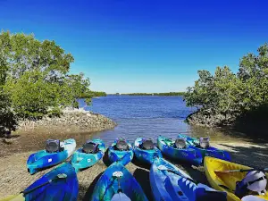 Florida Adventures and Rentals