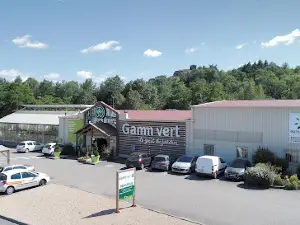 Gamm vert