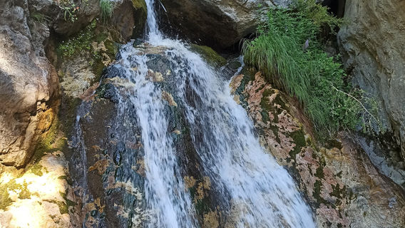 Dion Olimpos
