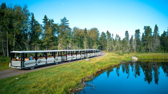 Zoo Sauvage de Saint-Felicien