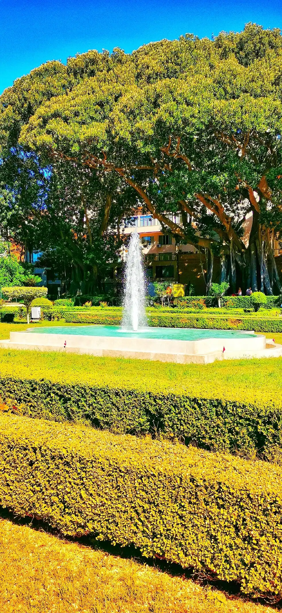 Hotel in zona Parco d'Orleans