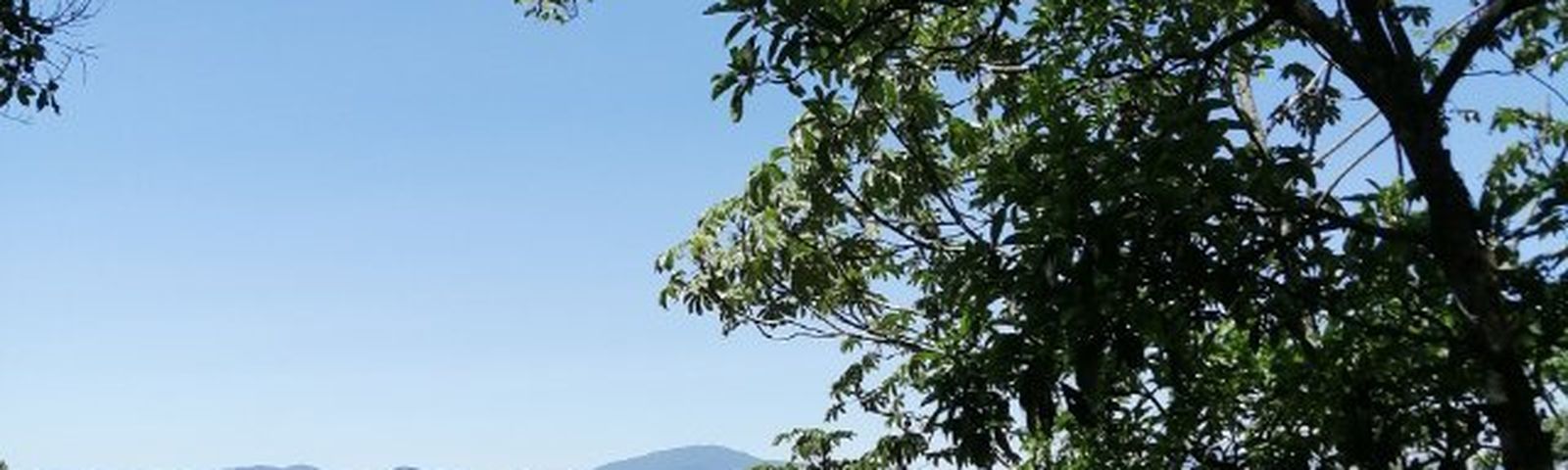 travel