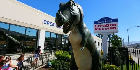 創造和地球歷史博物館