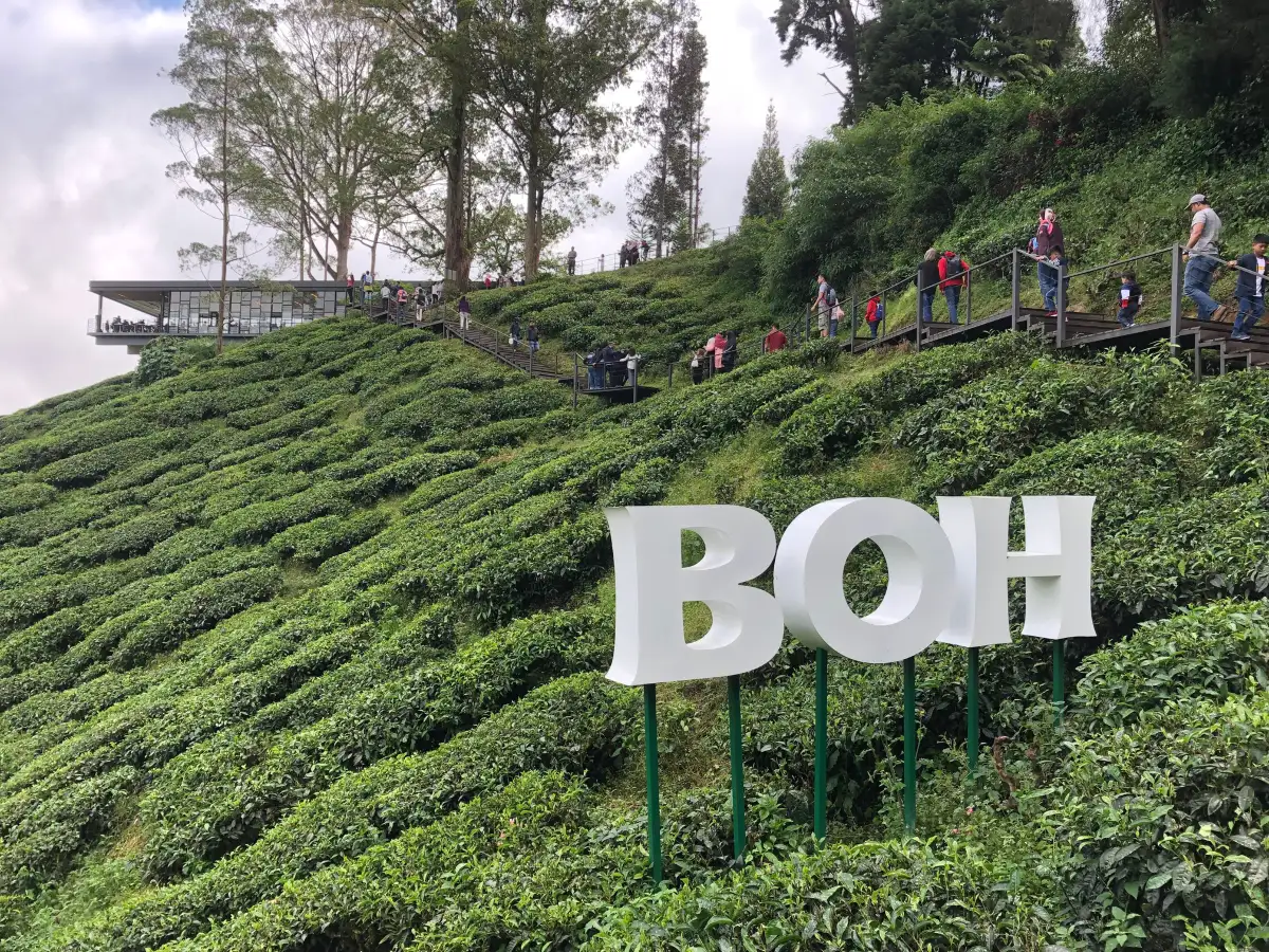 BOH Tea Centre (Sungei Palas Garden)