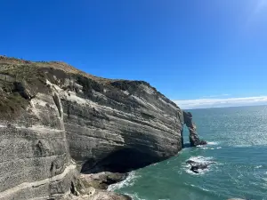 Farewell Spit Eco Tours