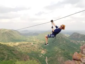 FLYING FOX NEEMRANA