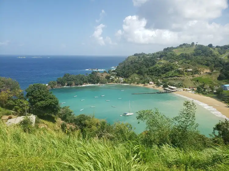 Hotels near Store Bay Beach