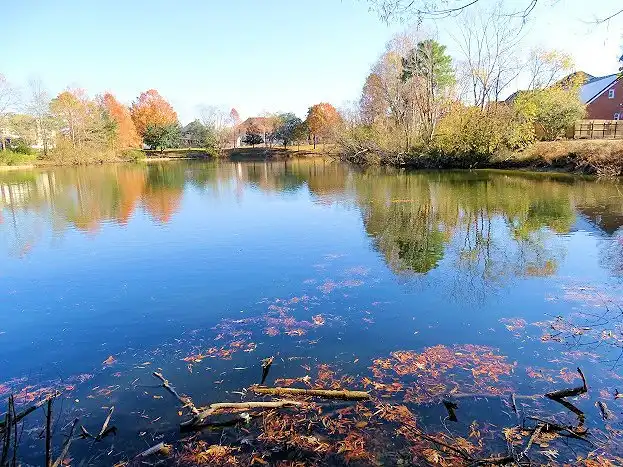 Hotels near Chesapeake Arboretum