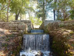 Poinsett State Park