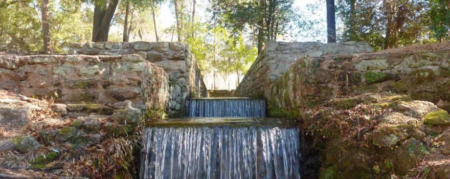 Poinsett State Park