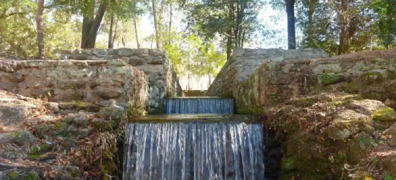 Hotels in Sumter County