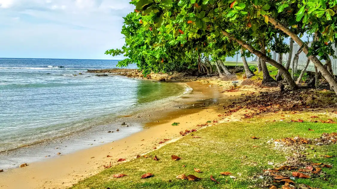 Hotels in der Nähe von Dorado Beach