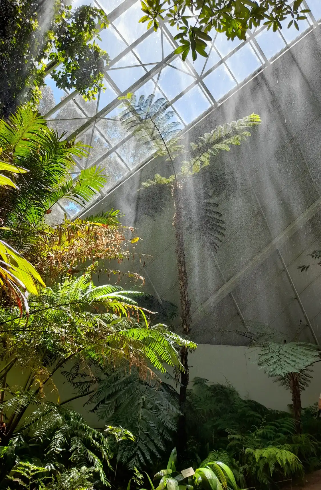 Hotel in zona Bicentennial Conservatory