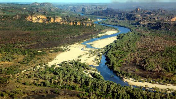 The Scenic Flight Company