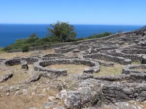 Castro de Santa Trega