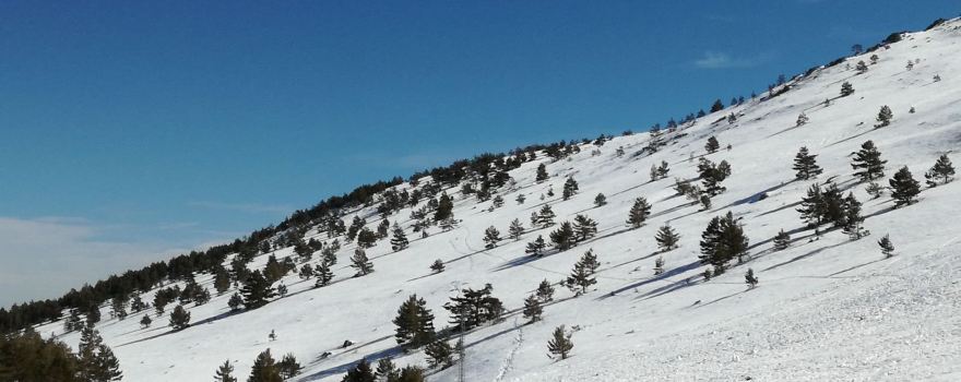 Camarena de la Sierra