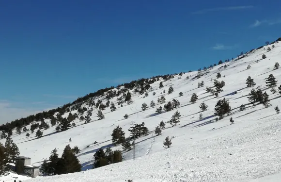 卡馬雷納德德拉謝拉