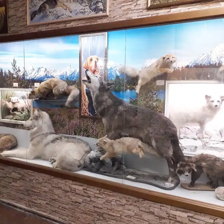 Hotels near Zoological Museum