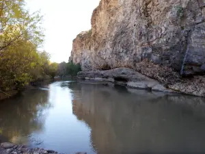 Gila Box Riparian National Conservation Area