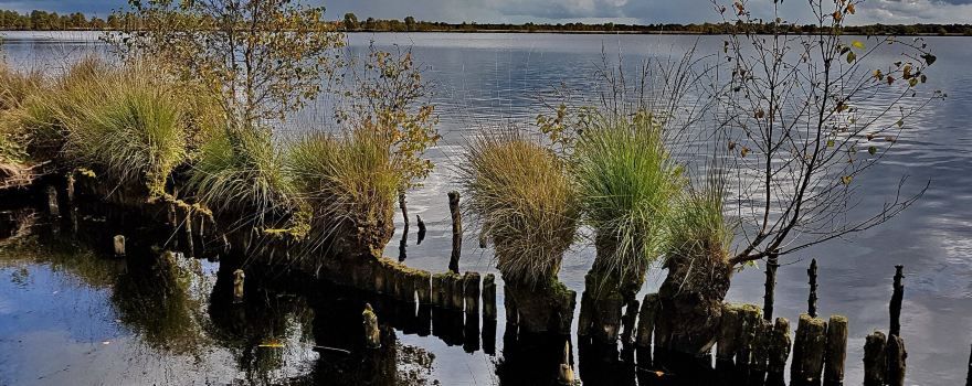 Ewiges Meer