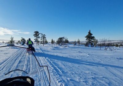 Lapland Safaris North / Lapland Safaris Saariselkä