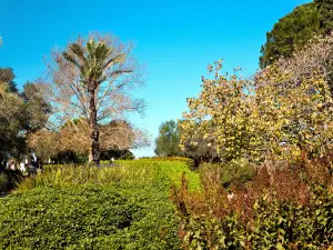 Ramat Hanadiv
