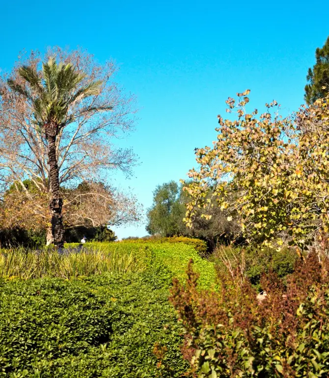 Ezor Zihron Ya'akov