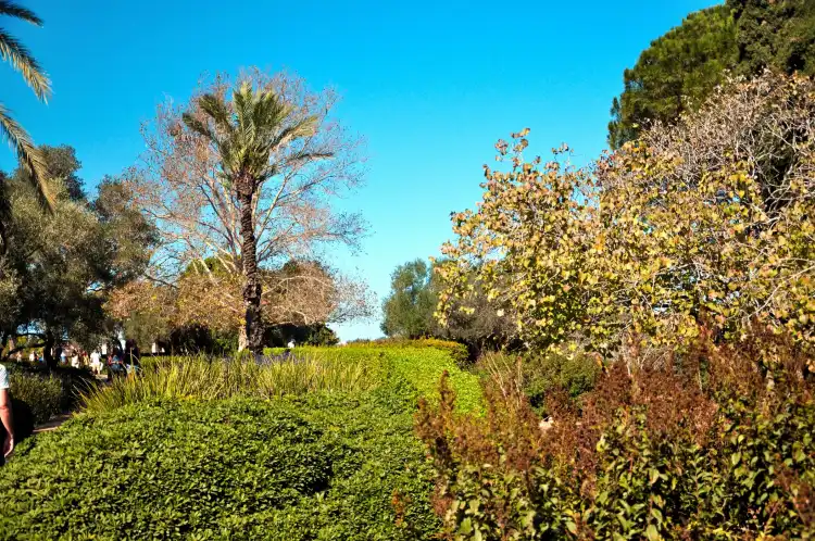 Ezor Zihron Ya'akov