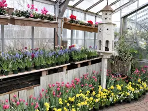 Highland Botanical Park and Lamberton Conservatory