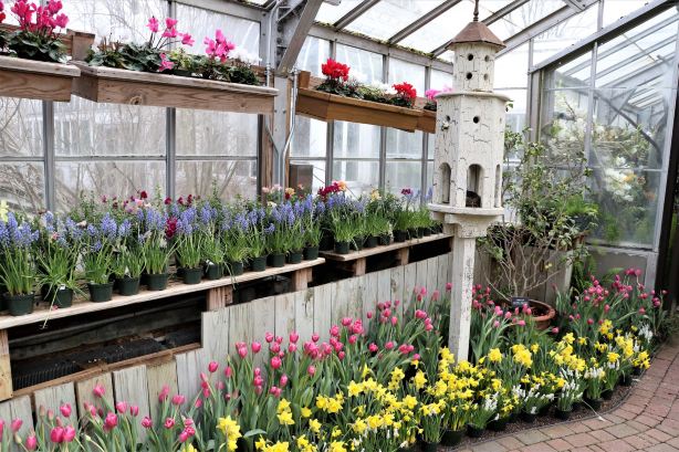 Lamberton Conservatory