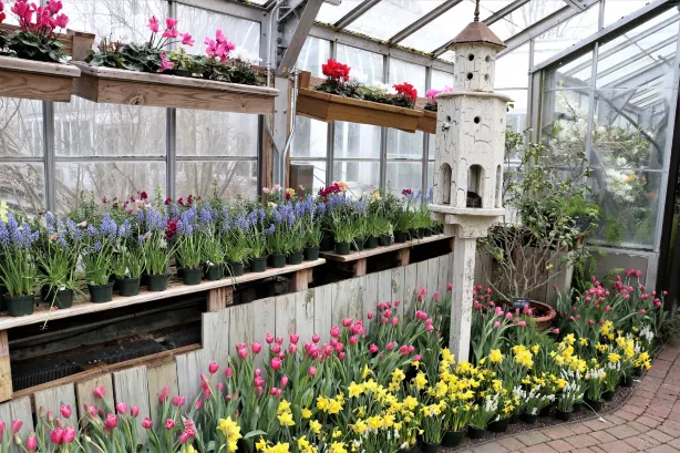 Lamberton Conservatory