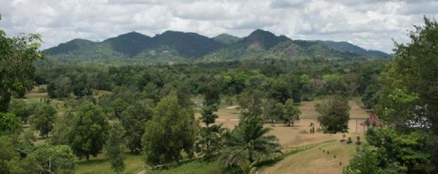 Pangkal Lalang