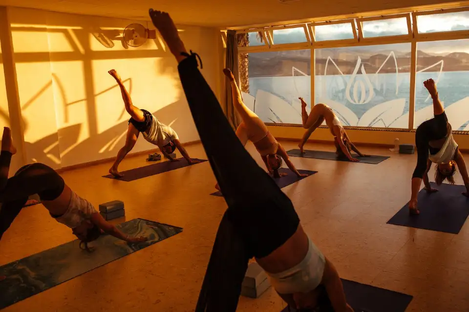 1_Pure Yoga Canarias