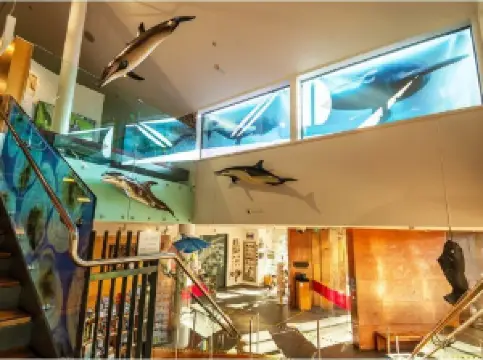 The Nelson Provincial Museum