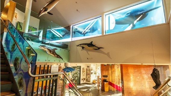 The Nelson Provincial Museum