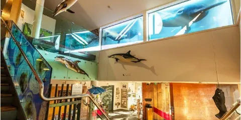 Nelson Provincial Museum