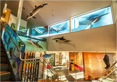 The Nelson Provincial Museum