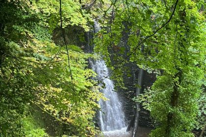 Falling Foss Tea Garden