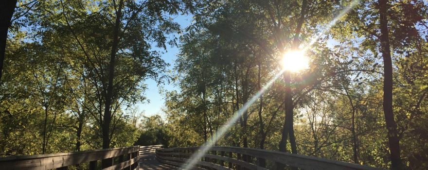 Thompson Park